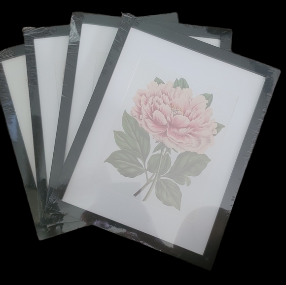 Other - picture frames
